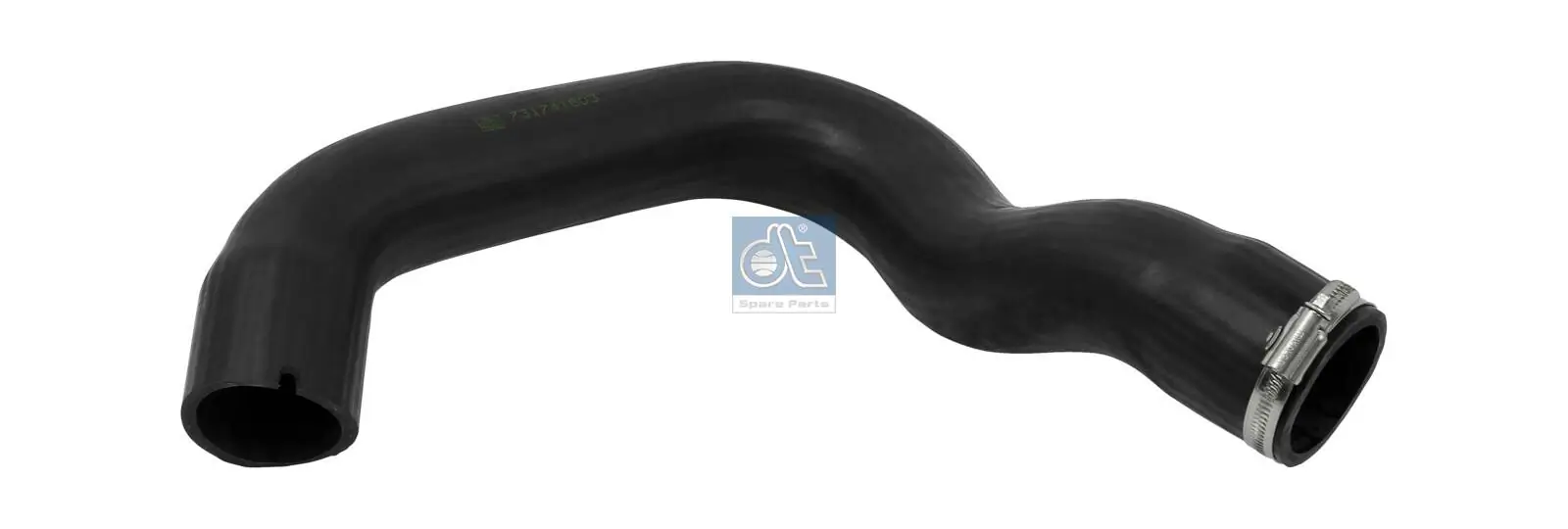 Radiator Hose